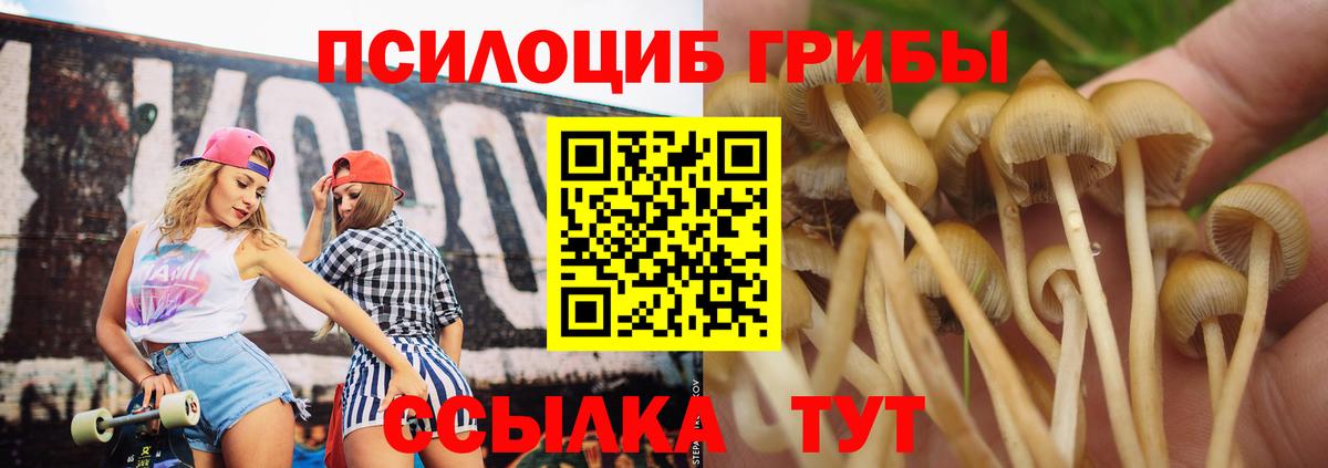 Псилоцибиновые грибы MAGIC MUSHROOMS  Вход с VPN  Галлюциногенные грибы Psilocybe  Орехово-Зуево 